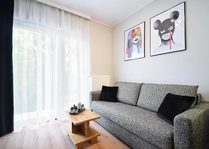 Apartment Premium Black&white By Lookap Poznan